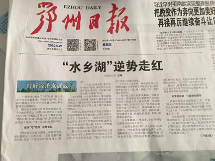 “水鄉(xiāng)湖”逆勢走紅